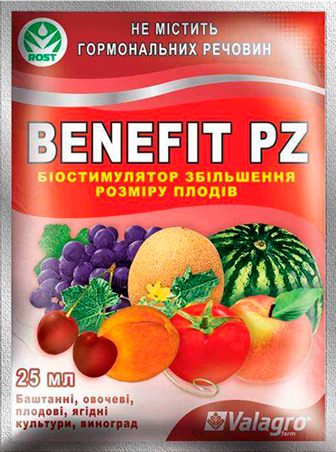 Benefit Pz    -  10