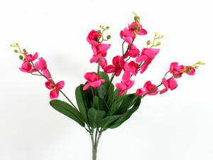 Букет ветка орхидеи