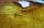 Сетеполотно (мультимонофил) Golden Corona 45 x 0,15*4 x 75 x 150, фото 2