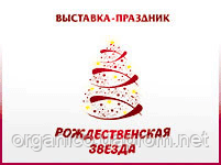 «Рождественская звезда»