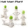 Травянчики одинарные бел. / керамический травянчик / hair man plant