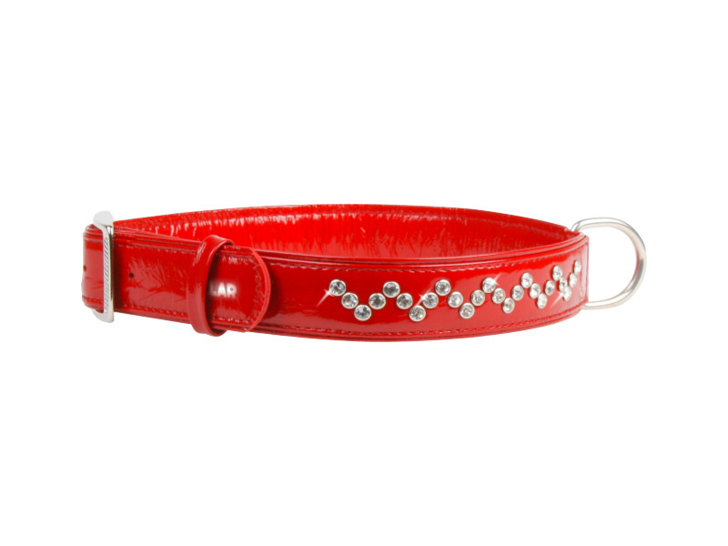 Collar BRILLIANCE - ошейник со стразами премиум класса из лакированной кожи 25мм38-49см
Collar BRILLIANCE - ошейник со стразами премиум класса из лакированной кожи 25мм38-49см