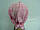 Косынка детская розовая с козырьком, фото 3