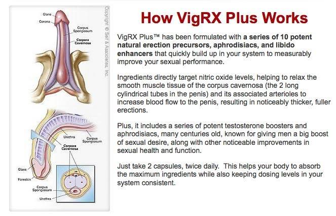 VIGRX PLUS (Вигрикс Плюс) 60 таблеток для увеличения и потенции, стойкой эрекции
VIGRX PLUS (Вигрикс Плюс) 60 таблеток для увеличения и потенции, стойкой эрекции