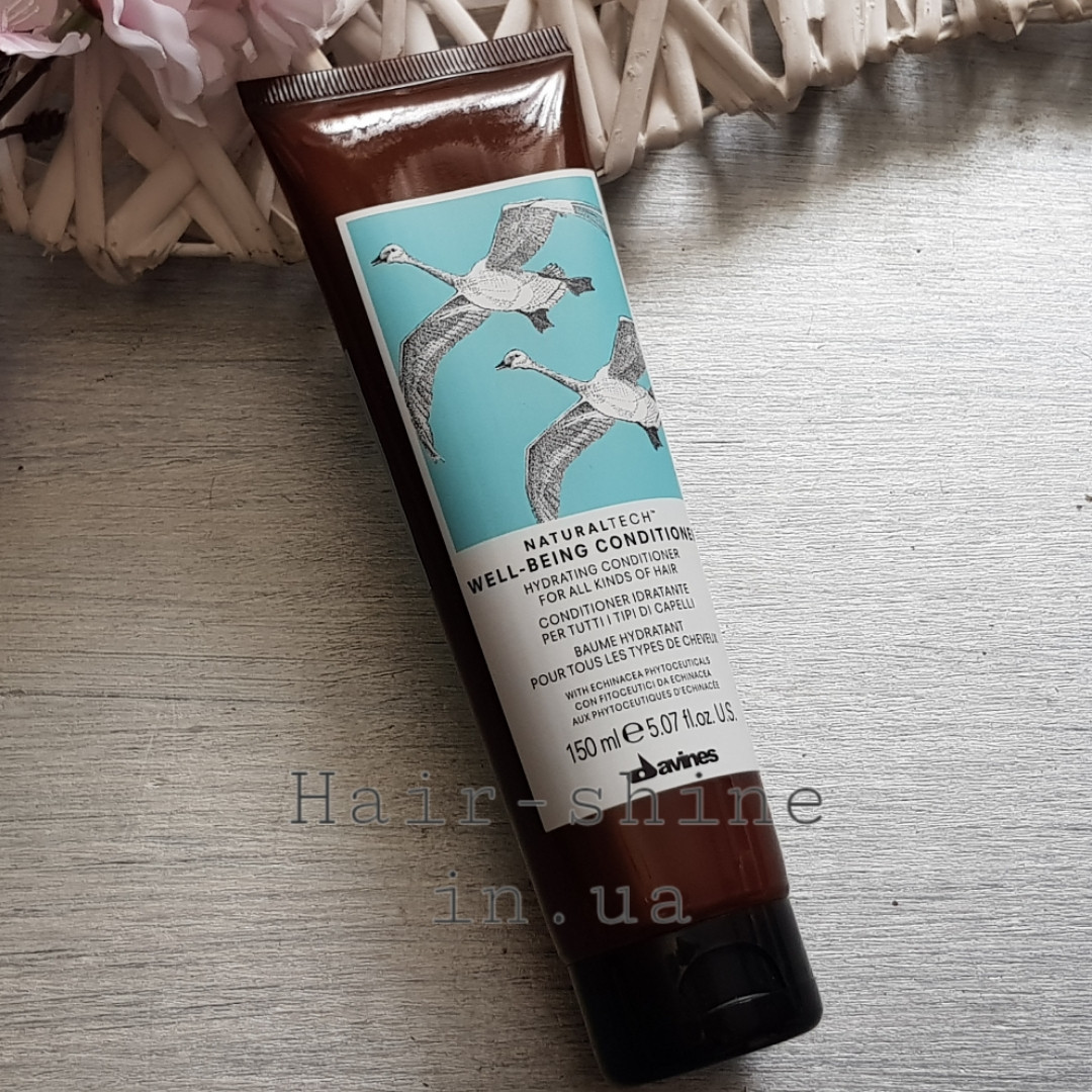 Увлажняющий кондиционер для здоровья волос 150 мл Davines New Natural Tech Well-Being Conditioner
Увлажняющий кондиционер для здоровья волос 150 мл Davines New Natural Tech Well-Being Conditioner