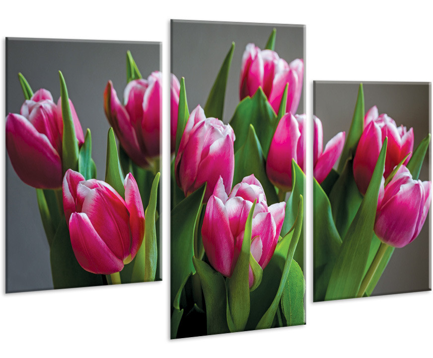 Красивая комнатная модульная картина на холсте для кухни 3 в 1 Tulip AMD 100, 96х70 см
Красивая комнатная модульная картина на холсте для кухни 3 в 1 Tulip AMD 100, 96х70 см