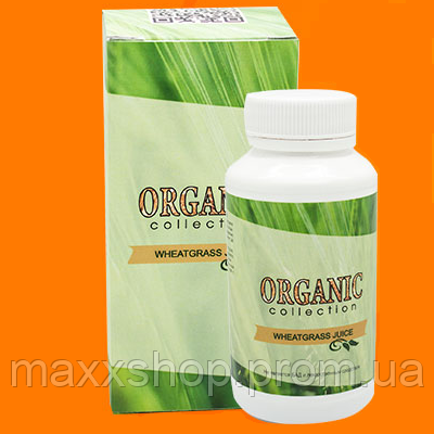 Wheatgrass - средство для похудения из ростков пшеницы от Organic Collection (Витграсс)
Wheatgrass - средство для похудения из ростков пшеницы от Organic Collection (Витграсс)