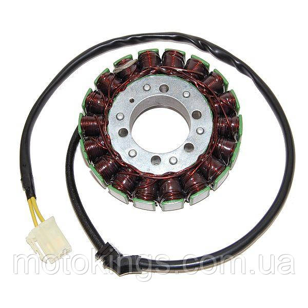 ELECTROSPORT ОБМОТКА ГЕНЕРАТОРА, СТАТОР APRILIA RST 1000 Futura (01-04), ETV 1000 Caponord (02-07) (ESG918)
ELECTROSPORT ОБМОТКА ГЕНЕРАТОРА, СТАТОР APRILIA RST 1000 Futura (01-04), ETV 1000 Caponord (02-07) (ESG918)