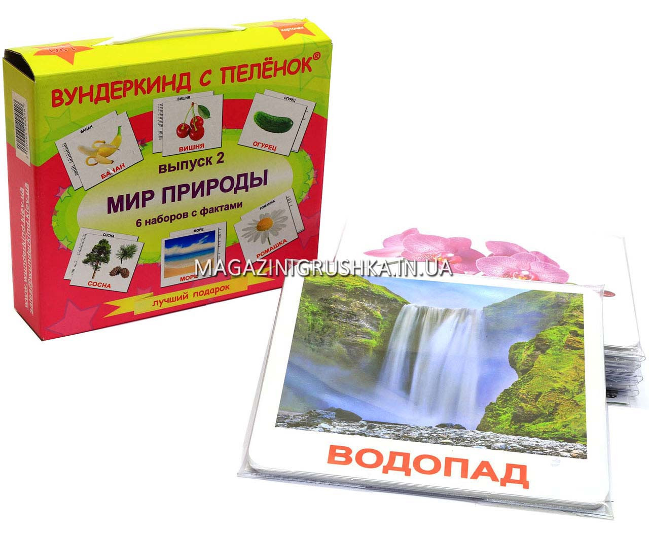 Развивающая игра Карточки Домана Выпуск 2 Мир природы «Вундеркинд с пеленок» ламинация 6 наборов 120 карточек, Разные цвета
Развивающая игра Карточки Домана Выпуск 2 Мир природы «Вундеркинд с пеленок» ламинация 6 наборов 120 карточек, Разные цвета