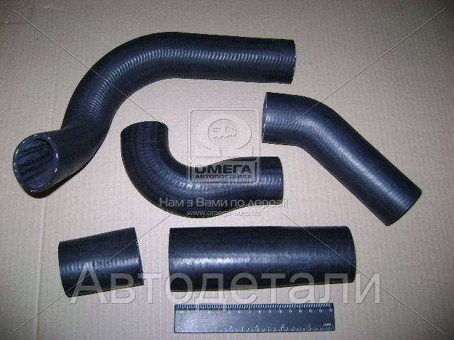 Патрубок радиатора ГАЗ 3302 дв.402 (шланги 5 шт) №120РШ (пр-во БРТ) Ремкомплект 120РШ
Патрубок радиатора ГАЗ 3302 дв.402 (шланги 5 шт) №120РШ (пр-во БРТ) Ремкомплект 120РШ