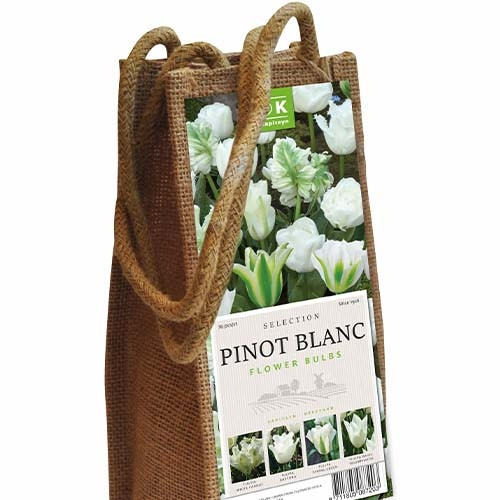 Комплект Тюльпанов Wine Pinot Blanc (Брендовые луковицы KAPITEYN®) Белый, бежевый, кремовый Луковицы Florium
Комплект Тюльпанов Wine Pinot Blanc (Брендовые луковицы KAPITEYN®) Белый, бежевый, кремовый Луковицы Florium