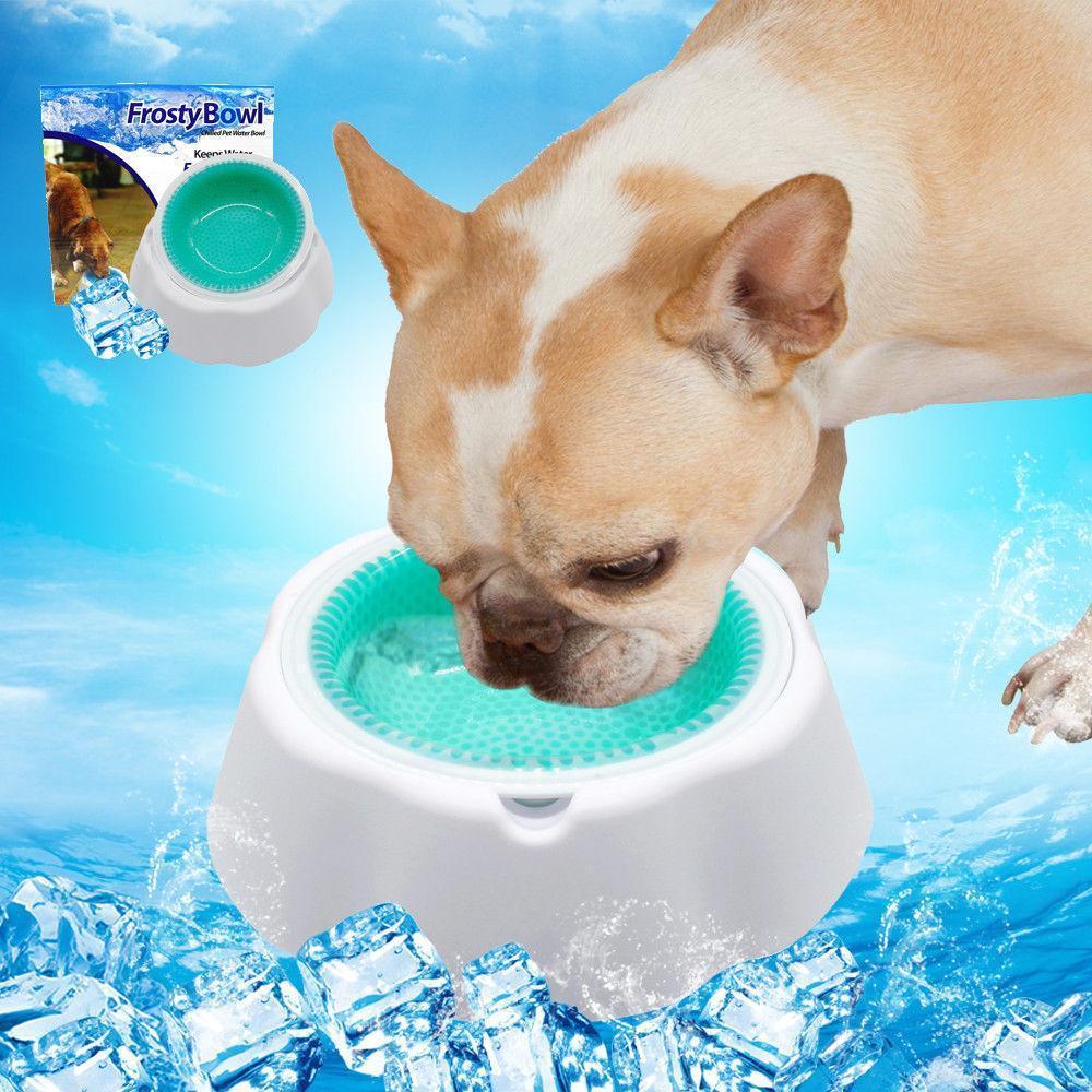 Охлаждающая миска для воды для домашних животных Frosty Bowl! Хит продаж, Бело-голубой
Охлаждающая миска для воды для домашних животных Frosty Bowl! Хит продаж, Бело-голубой