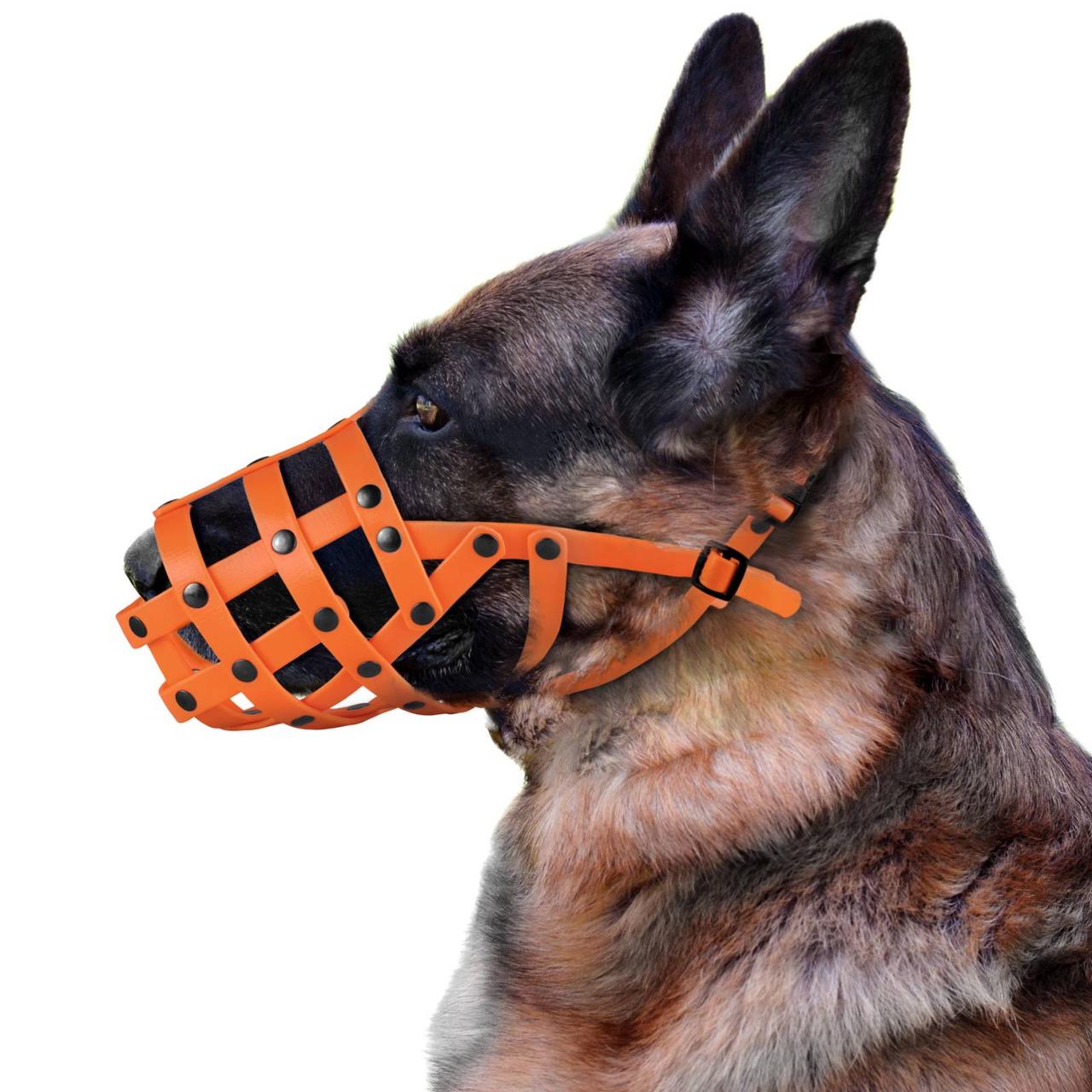 Намордник Bronzedog водоотталкивающий биотановый немецкая овчарка малая, малинуа оранжевый L
Намордник Bronzedog водоотталкивающий биотановый немецкая овчарка малая, малинуа оранжевый L