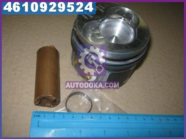 Поршень VAG 81.01 AXD/AXE/BAC/BLJ/BLK (CYL 1-2) (производство KS) 41091600
Поршень VAG 81.01 AXD/AXE/BAC/BLJ/BLK (CYL 1-2) (производство KS) 41091600