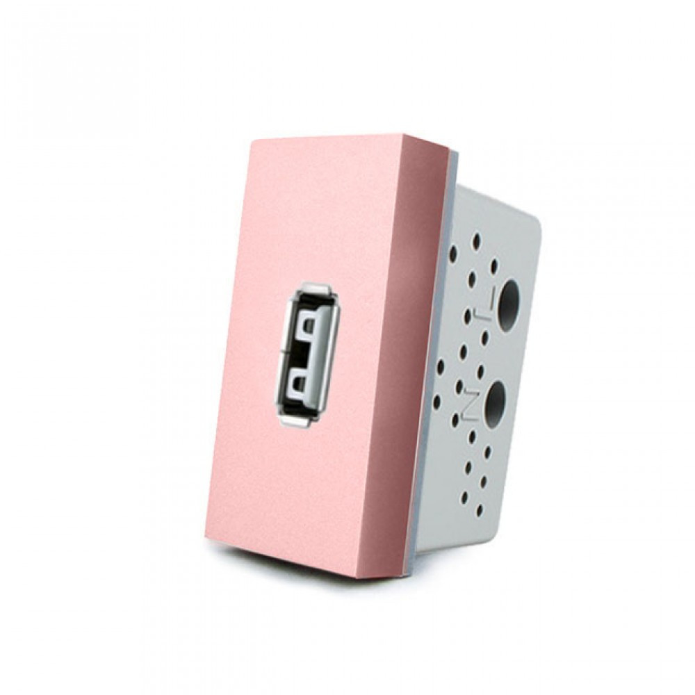 Механизм розетка USB Livolo с блоком питания 2.1А, 5V розовый (VL-C7-1USB-17)
Механизм розетка USB Livolo с блоком питания 2.1А, 5V розовый (VL-C7-1USB-17)
