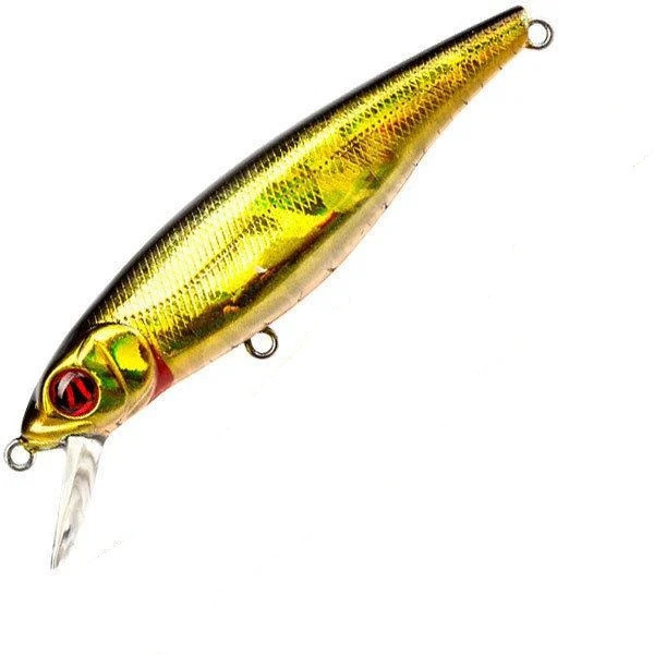 Воблер Pontoon 21 Greedy-Guts 88 SP-SR, 88mm, 11.7g, 0.8-1.2m, 402 cb crash hg black&gold
Воблер Pontoon 21 Greedy-Guts 88 SP-SR, 88mm, 11.7g, 0.8-1.2m, 402 cb crash hg black&gold