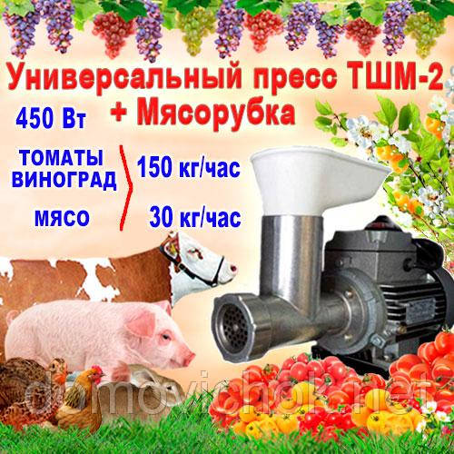 Шнековая соковыжималка + мясорубка ТШМ-2М для томатов, винограда, мяса (двигатель 450Вт
Шнековая соковыжималка + мясорубка ТШМ-2М для томатов, винограда, мяса (двигатель 450Вт
