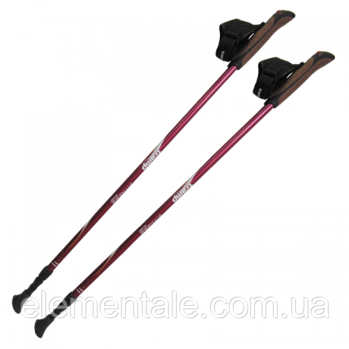 Трекинговые палки Tramp Fitness TRR-011 для скандинавской ходьбы телескопические Red
Трекинговые палки Tramp Fitness TRR-011 для скандинавской ходьбы телескопические Red