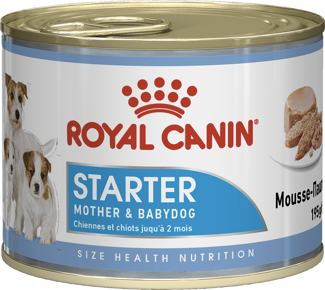 Royal Canin Starter Mother & Babydog Mousse Влажный корм для собак, специально для сук и их щенков 12x195 г
Royal Canin Starter Mother & Babydog Mousse Влажный корм для собак, специально для сук и их щенков 12x195 г