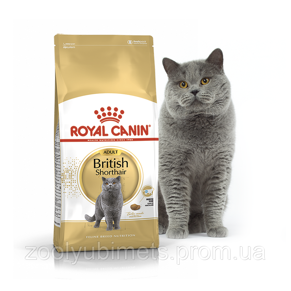 Royal Canin British Shorthair Adult - Сухой корм для кошек породы Британская короткошерстная, 4 кг
Royal Canin British Shorthair Adult - Сухой корм для кошек породы Британская короткошерстная, 4 кг