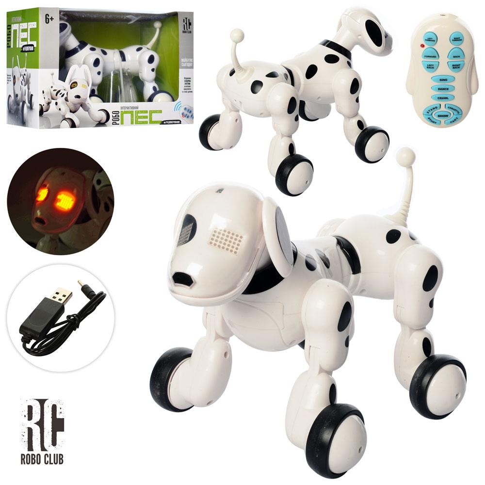 Собака RC 0006 (6шт) р/у, аккум,23см,ходит,танцует,зв(англ),муз, св,USВзар,бат,в кор,30-21,5-19см
Собака RC 0006 (6шт) р/у, аккум,23см,ходит,танцует,зв(англ),муз, св,USВзар,бат,в кор,30-21,5-19см