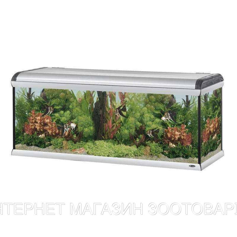 Ferplast (Ферпласт) Star 160 Fresh Water (570 л) - Стеклянный пресноводный аквариум Стар 160 с алюминиевой
Ferplast (Ферпласт) Star 160 Fresh Water (570 л) - Стеклянный пресноводный аквариум Стар 160 с алюминиевой