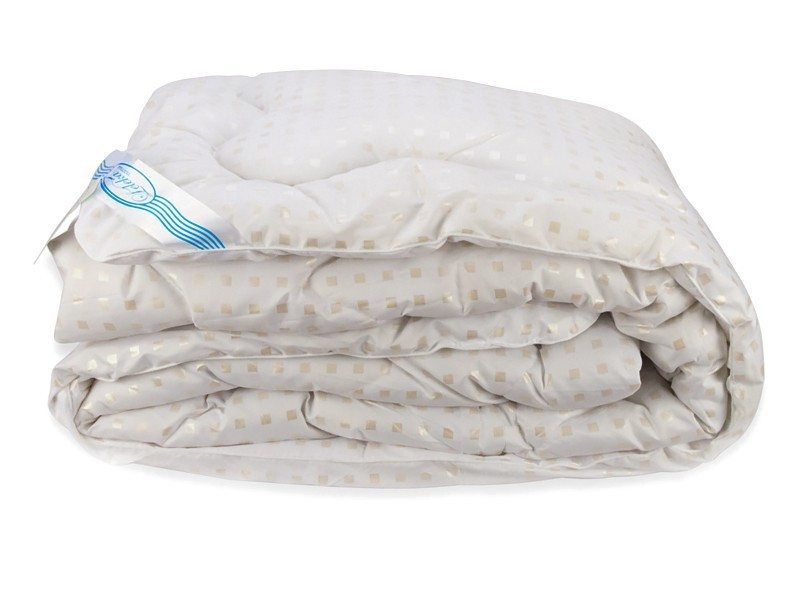 Одеяло Лебяжий Пух Leleka-Textile Двуспальный 172х205 Белое в квадратик SKL53-239866, Белый
Одеяло Лебяжий Пух Leleka-Textile Двуспальный 172х205 Белое в квадратик SKL53-239866, Белый