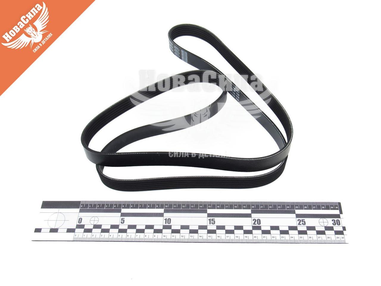 Ремень поликлиновой 6PK1613 (Dayco) генер. VW Crafter з11р.в. (2.0TDI) 6PK1613 022145933AG 03G903137E
Ремень поликлиновой 6PK1613 (Dayco) генер. VW Crafter з11р.в. (2.0TDI) 6PK1613 022145933AG 03G903137E