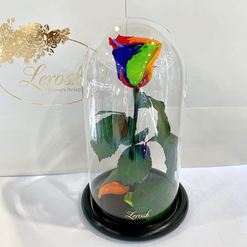 ̂ Долгосвежая Яркая Радужная роза подарок в стеклянной колбе Lerosh - Classic 27 см M15-279569
̂ Долгосвежая Яркая Радужная роза подарок в стеклянной колбе Lerosh - Classic 27 см M15-279569