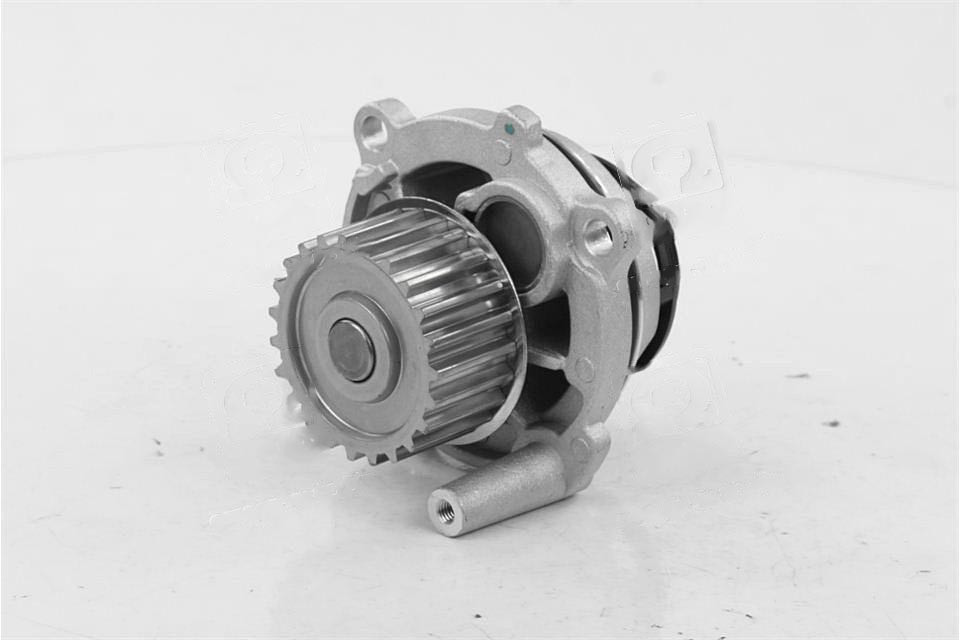 Насос водяной (помпа) SKODA OCTAVIA 04-, VW CADDY, PASSAT 04- (Rider). RD.150165416
Насос водяной (помпа) SKODA OCTAVIA 04-, VW CADDY, PASSAT 04- (Rider). RD.150165416