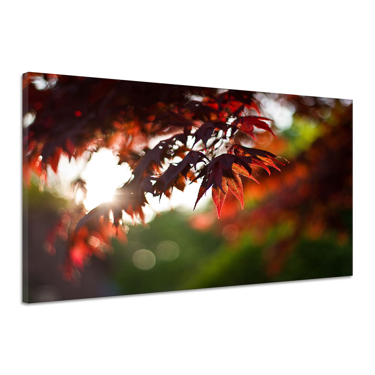 Картина на холсте размером 60x40"Клён Листва Красный Растение Солнечный свет Природа"
Картина на холсте размером 60x40"Клён Листва Красный Растение Солнечный свет Природа"