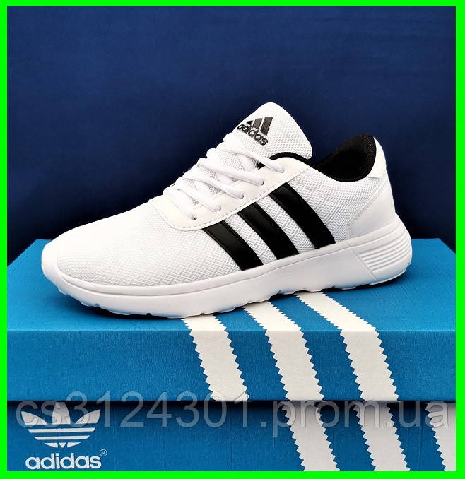 Кроссовки Adidas Женские Белые Адидас BOOST (размеры: 36,37,38,39,40,41) Видео Обзор
Кроссовки Adidas Женские Белые Адидас BOOST (размеры: 36,37,38,39,40,41) Видео Обзор