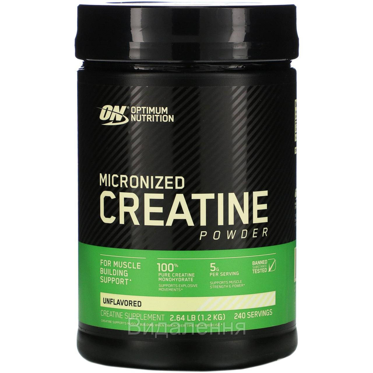Optimum Nutrition, Микронизированный креатин, порошок, без запаха, 2,64 фунта (1,2 кг)
Optimum Nutrition, Микронизированный креатин, порошок, без запаха, 2,64 фунта (1,2 кг)