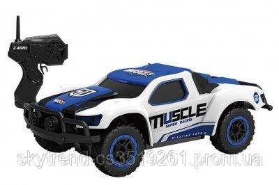 Машинка HB Toys Muscle радиоуправляемая, масштаб 1к43 полноприводная синяя SKL17-139559
Машинка HB Toys Muscle радиоуправляемая, масштаб 1к43 полноприводная синяя SKL17-139559