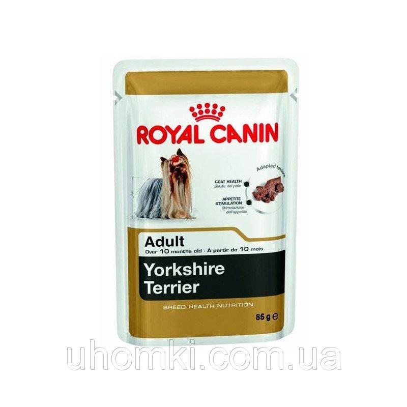 Royal Canin (Роял Канин) YORKSHIRE TERRIER ADULT влажный корм для взрослых собак породы йоркширский терьер 85
Royal Canin (Роял Канин) YORKSHIRE TERRIER ADULT влажный корм для взрослых собак породы йоркширский терьер 85