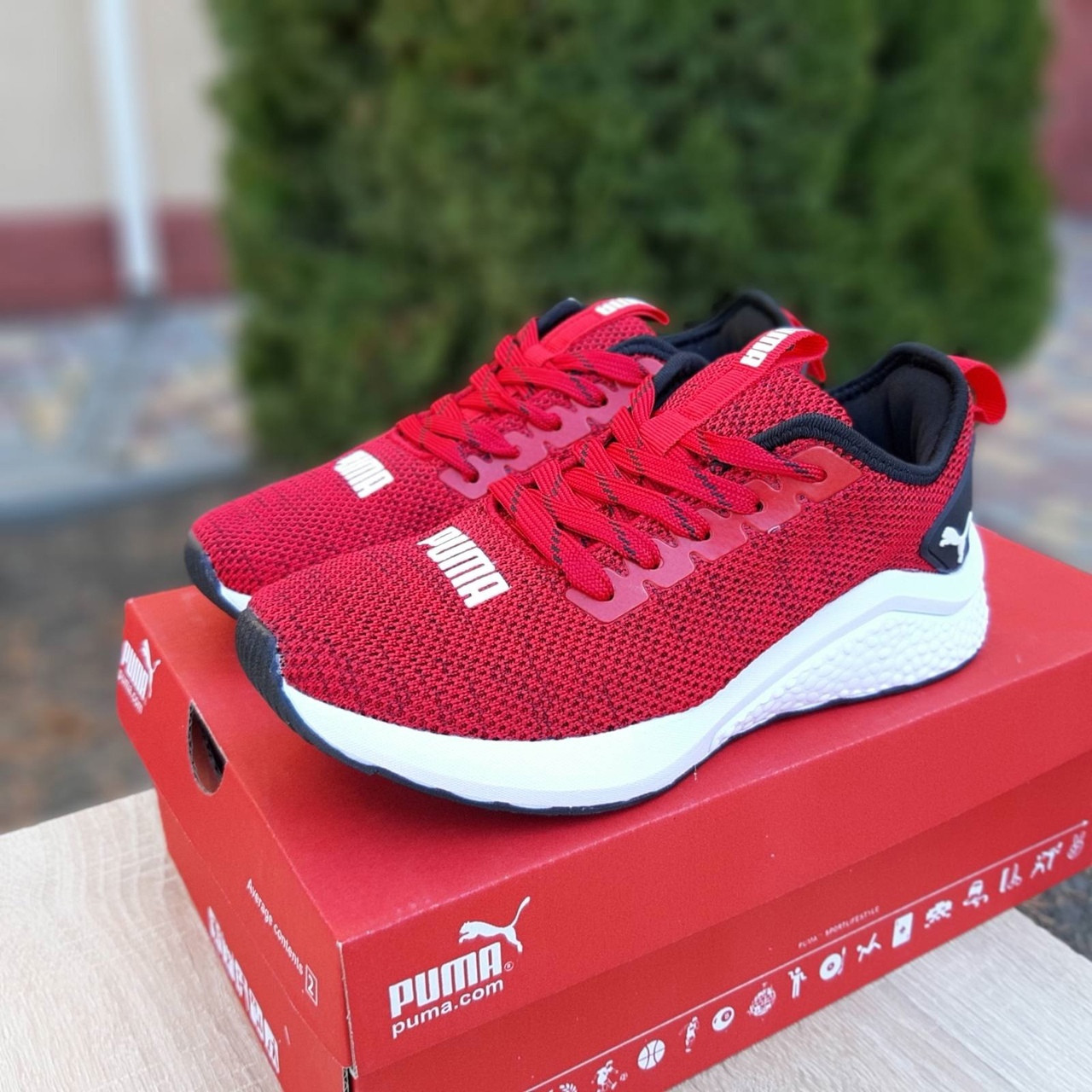 Puma Hybrid женские демисезонные красные кроссовки на шнурках. Весенние женские на сетке кроссы 39, Красный
Puma Hybrid женские демисезонные красные кроссовки на шнурках. Весенние женские на сетке кроссы 39, Красный