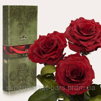 Florich Три долгосвежих розы Florich в подарочной упаковке Багровый гранат (7 карат на коротком стебле) (1317-RD03)
Florich Три долгосвежих розы Florich в подарочной упаковке Багровый гранат (7 карат на коротком стебле) (1317-RD03)