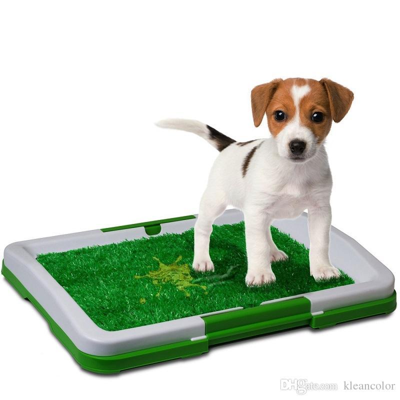 Туалет для собак Puppy Potty Pad 47х34х6 лоток для щенков горшок трава | Туалет для собак | Лоток для цуценят
Туалет для собак Puppy Potty Pad 47х34х6 лоток для щенков горшок трава | Туалет для собак | Лоток для цуценят