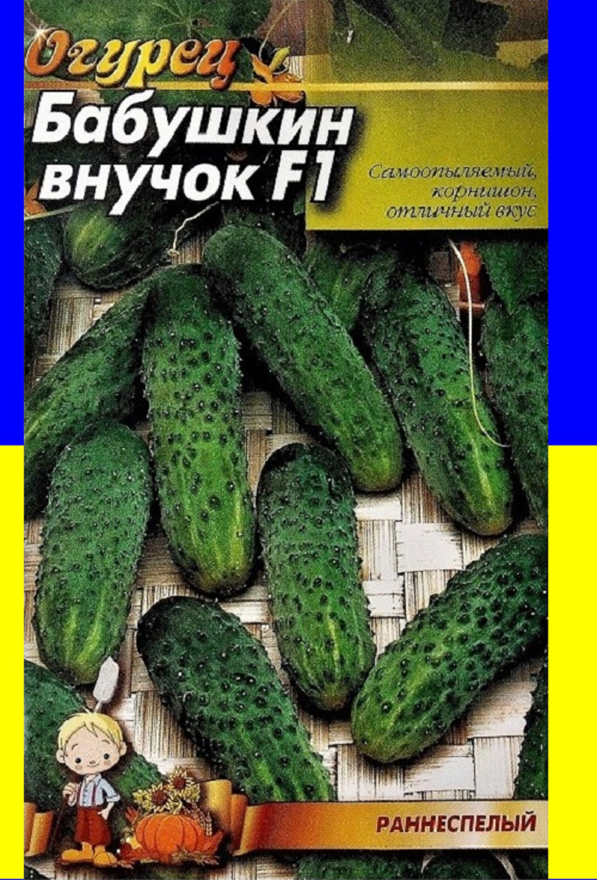 огурцы сорт бабушкин секрет отзывы фото