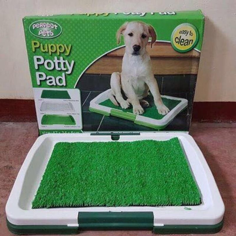 Туалет лоток для собак травка Puppy Potty Pad, Туалетные лотки для животных и аксессуары 47х34х6 см MB
Туалет лоток для собак травка Puppy Potty Pad, Туалетные лотки для животных и аксессуары 47х34х6 см MB