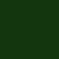 Темно-зеленый RR11
