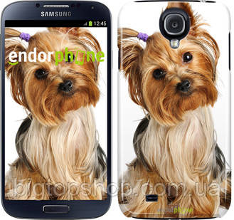 Чехол на Samsung Galaxy S4 i9500 Йоркширский терьер с хвостиком "930c-13", Коричневый
Чехол на Samsung Galaxy S4 i9500 Йоркширский терьер с хвостиком "930c-13", Коричневый