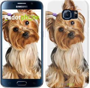 Чехол на Samsung Galaxy Star Plus S7262 Йоркширский терьер с хвостиком "930u-360", Коричневый
Чехол на Samsung Galaxy Star Plus S7262 Йоркширский терьер с хвостиком "930u-360", Коричневый