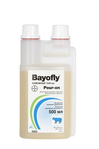 Bayofly  -  6