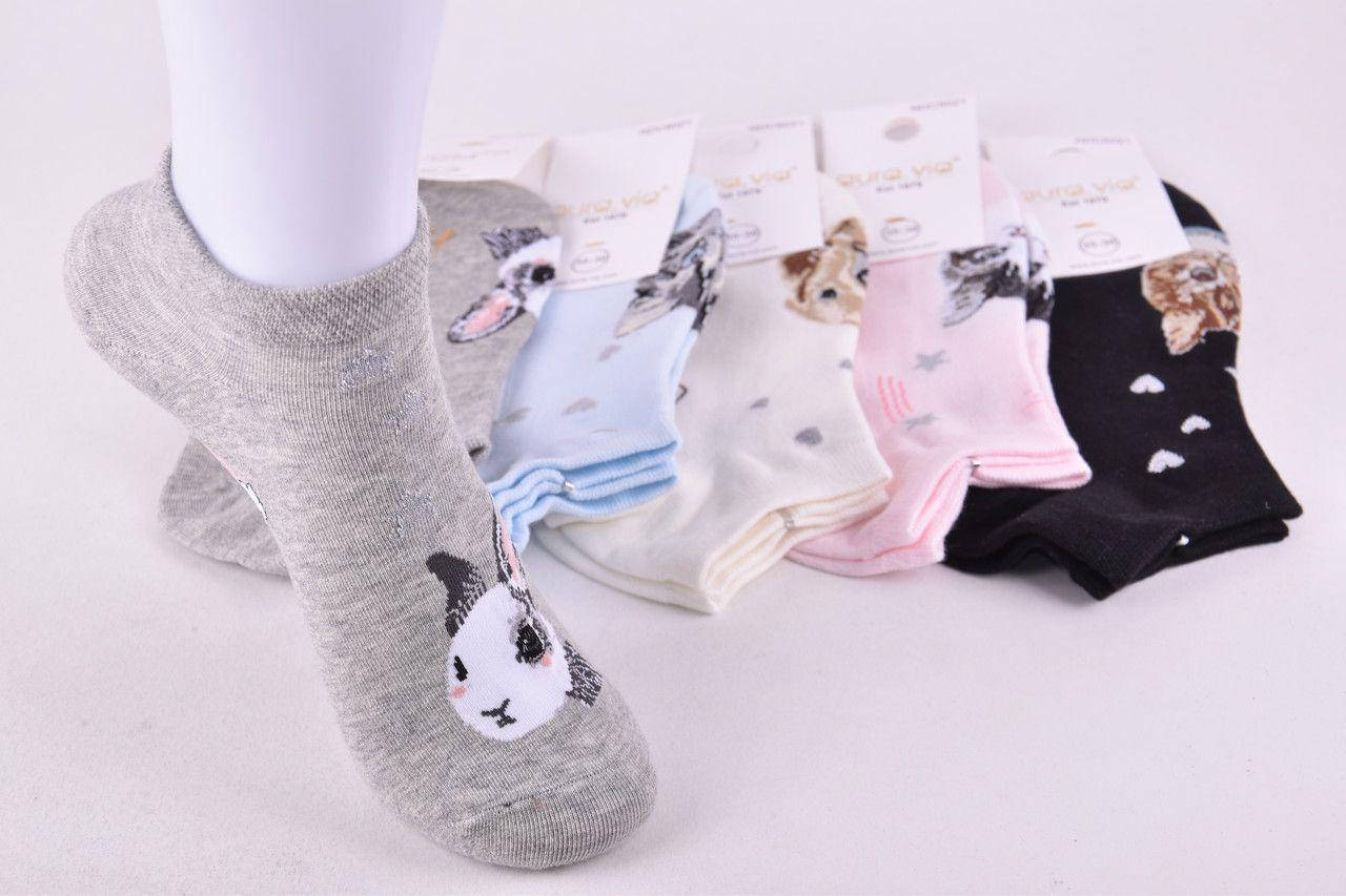 Носки женские короткие принт "AURA" COTTON | Набор носков женских заниженных, 5 пар, высокое качество, 35-38, Разные цвета
Носки женские короткие принт "AURA" COTTON | Набор носков женских заниженных, 5 пар, высокое качество, 35-38, Разные цвета