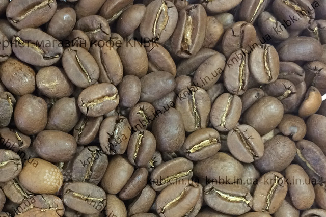Кава Перу зерна, як виглядає кави Перу, фото кави