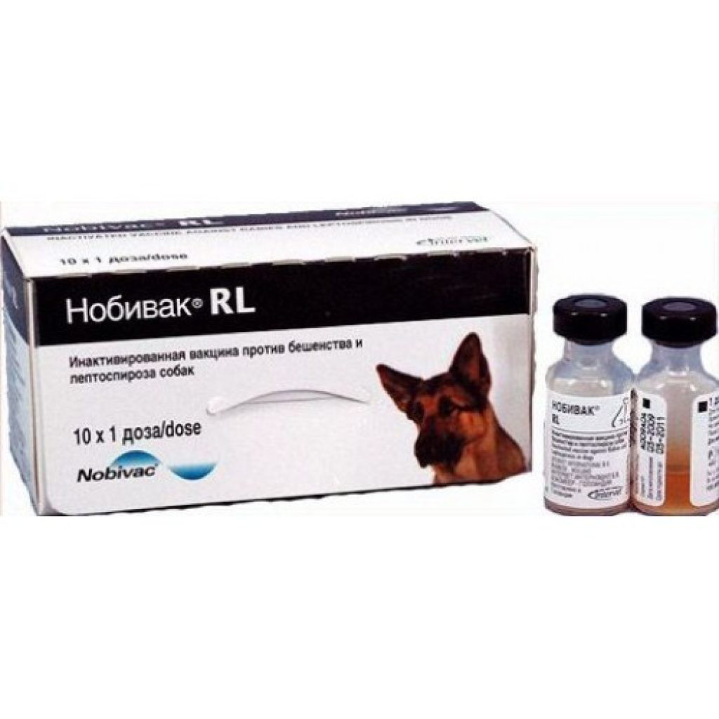 Вакцины против бешенства для собак. Нобивак RL вакцина для собак.