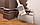 Плинтус под покраску из дюрополимера Элегант LPC - 32 (2м.п.), фото 6
