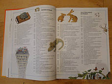 Большая детская энциклопедия, фото 3