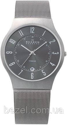 

Мужские часы Skagen 233XLTTM